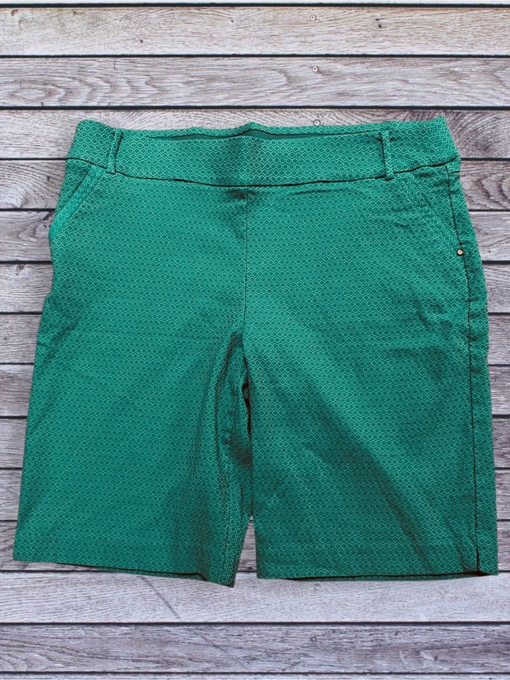 Attyre Women’s teal Patterned Shorts 14